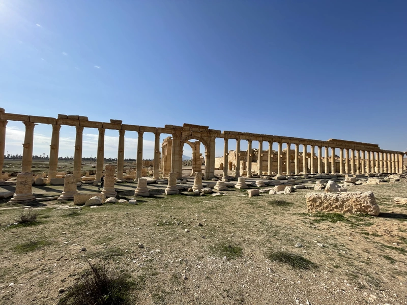 Säulen Ausgrabungsstätte Palmyra in Syrien